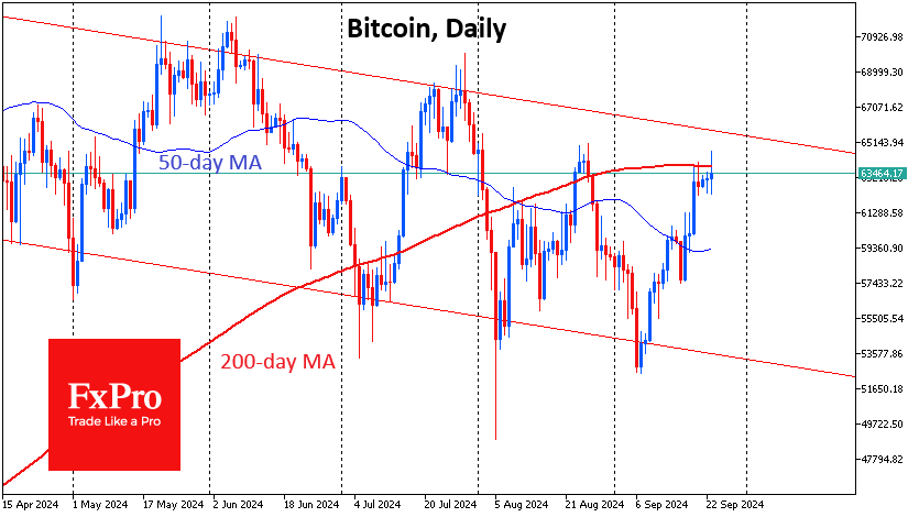 Bullish pause